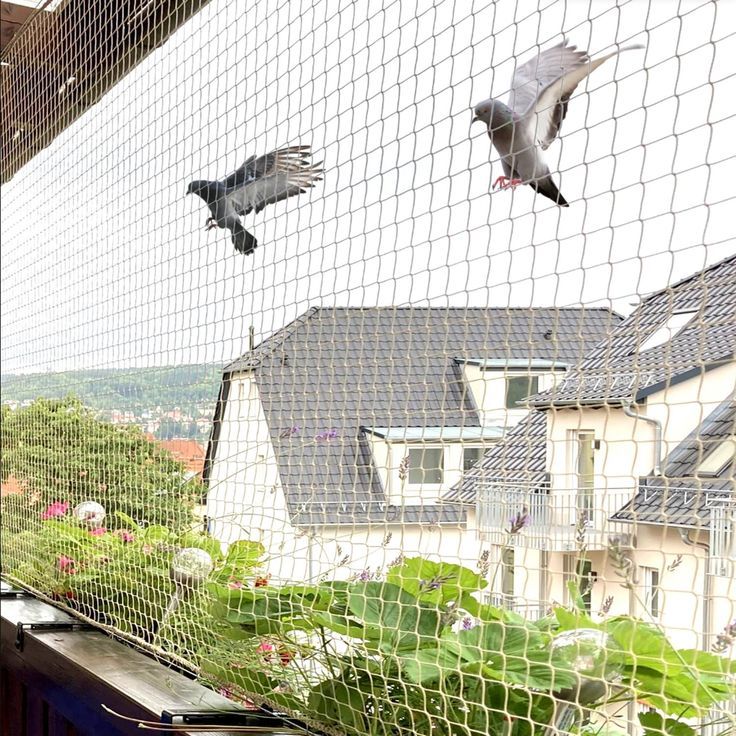 Bird net balcony installation